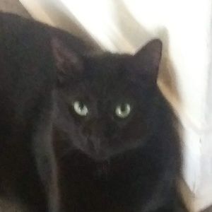 Meet your Posher, Valarie